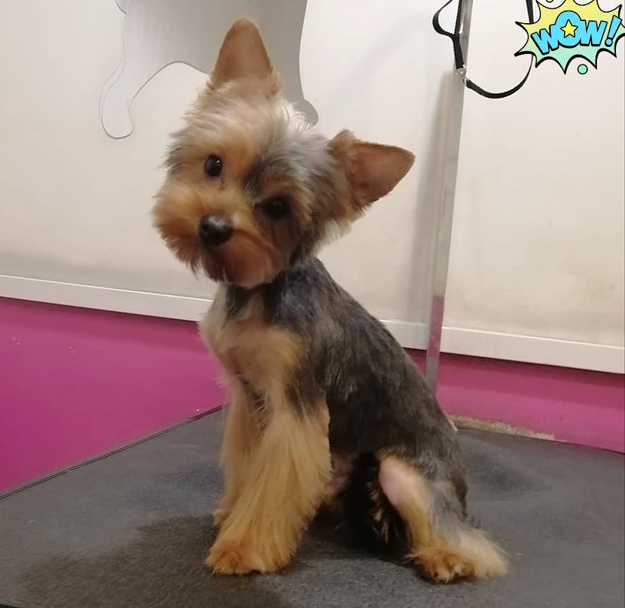 Елена Исаева